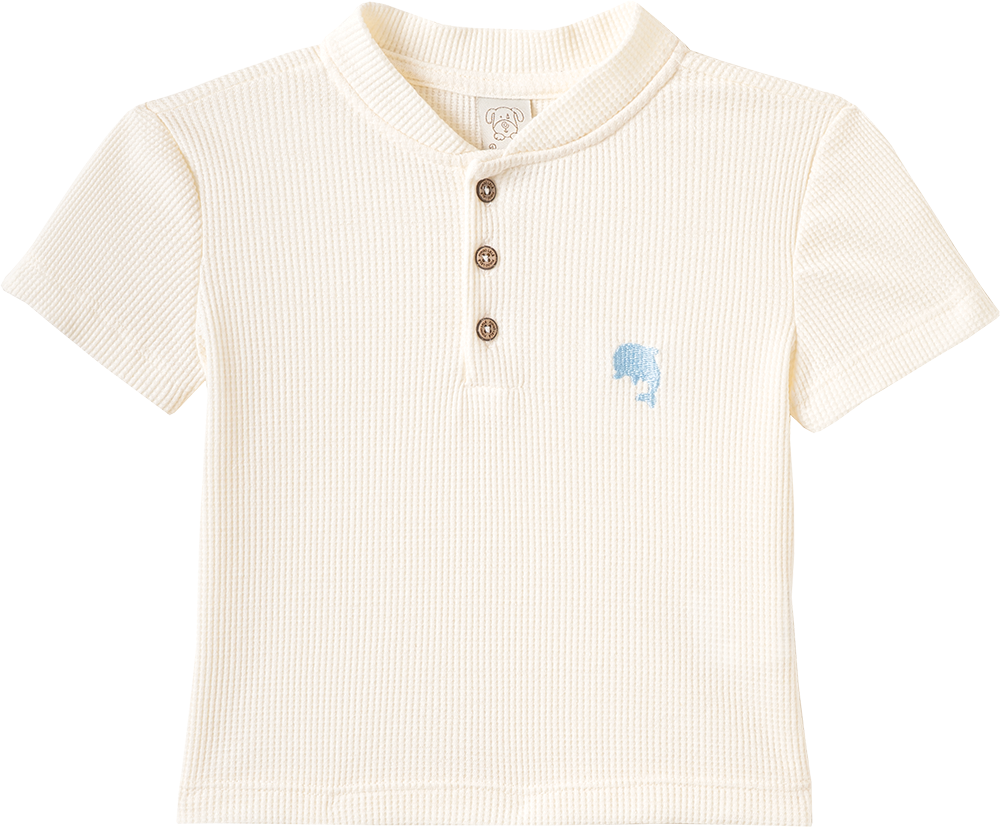 Conjunto Camiseta Manga Curta e Shorts Arca de Noé – foto do produto